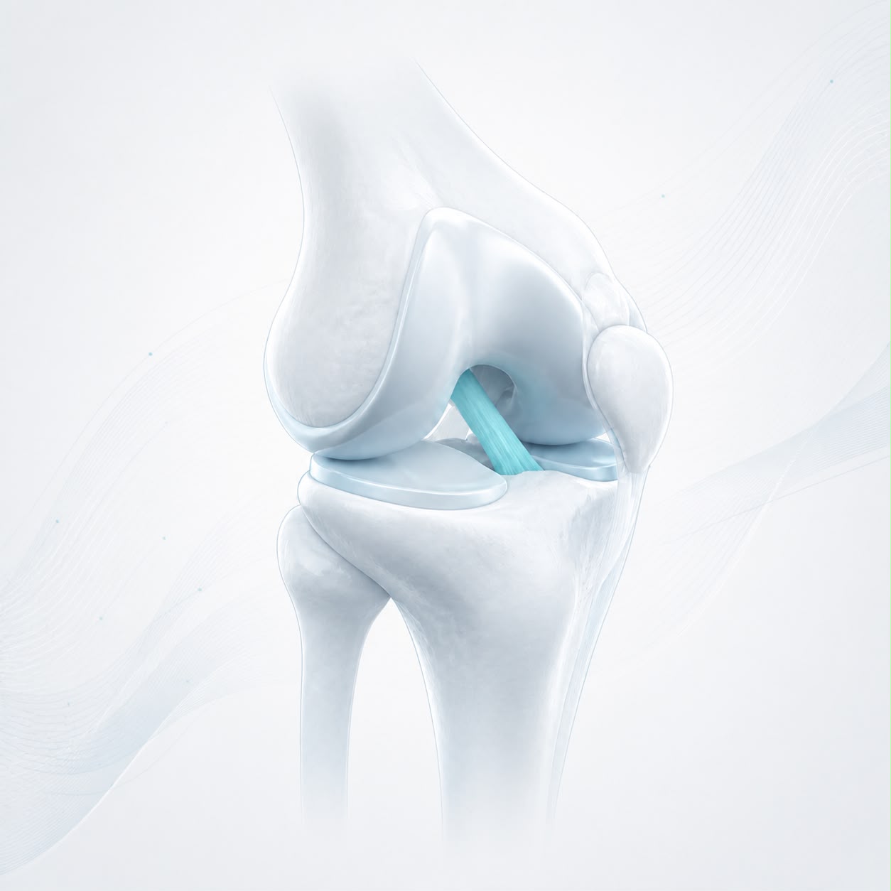 Ilustración de la rodilla con el ligamento cruzado